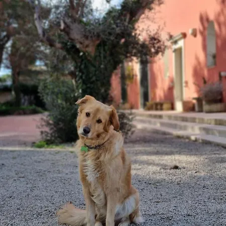 Petra - Séjour à la campagne Monteroni di Lecce
